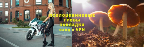эйфоретик Тутаев