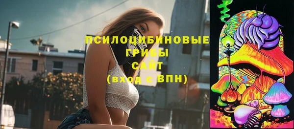 эйфоретик Тутаев