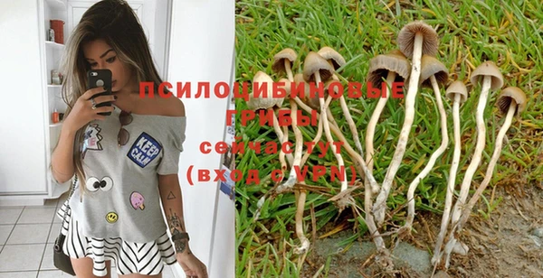 не бодяженный Новоульяновск