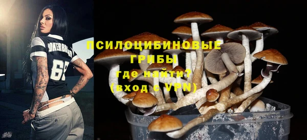 эйфоретик Тутаев