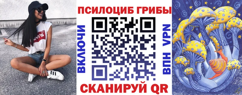 Псилоцибиновые грибы мицелий  Кемерово 