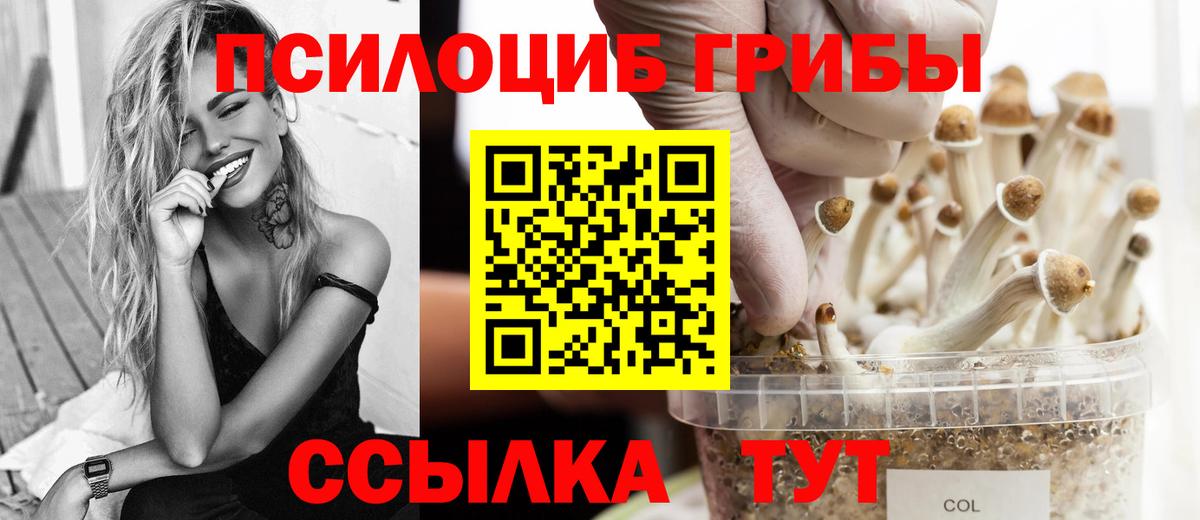 Кемерово  Псилоцибиновые грибы ЛСД  Вход с VPN 