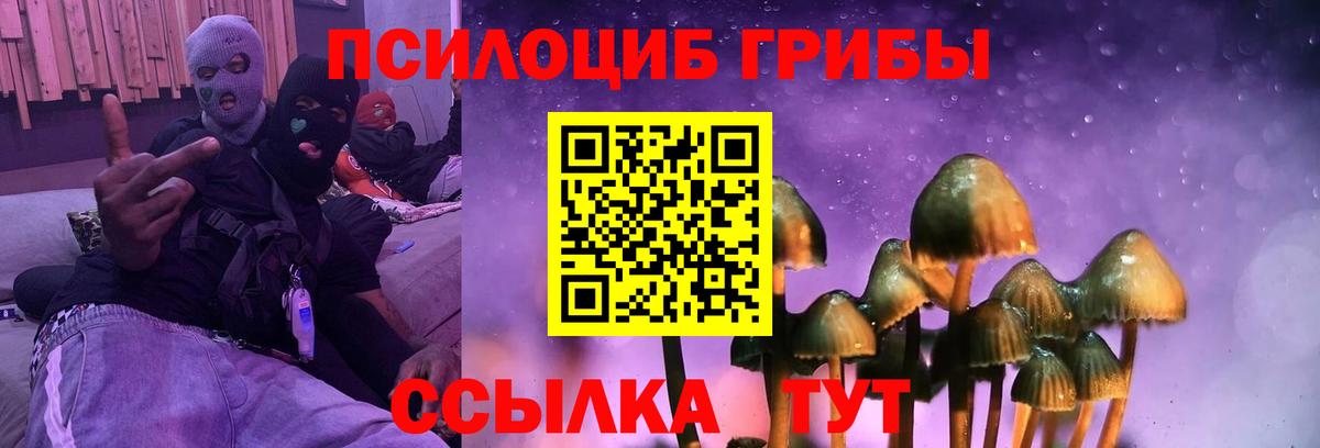 Псилоцибиновые грибы Psilocybe  Галлюциногенные грибы мухоморы  Кемерово 